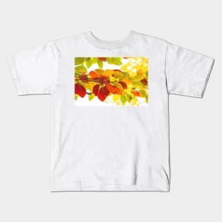 Colourful leaves on a white background Kids T-Shirt